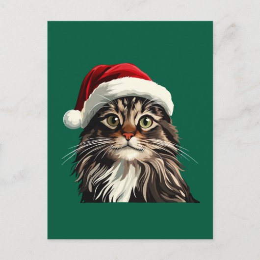 Maincoon, CHRISTMAS, Kätzchen, Kätzchen präsentier Postkarte (Vorderseite)
