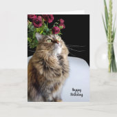 Maincoon-Katze Geburtstag Karte (Vorderseite)