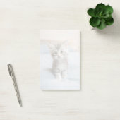 Maincoon Kitten Post-it Klebezettel (Büro)