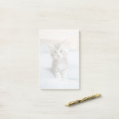 Maincoon Kitten Post-it Klebezettel (Auf Schreibtisch)