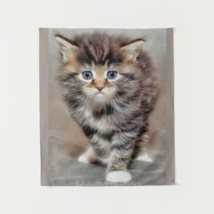 Maincoon Kitten Wandteppich