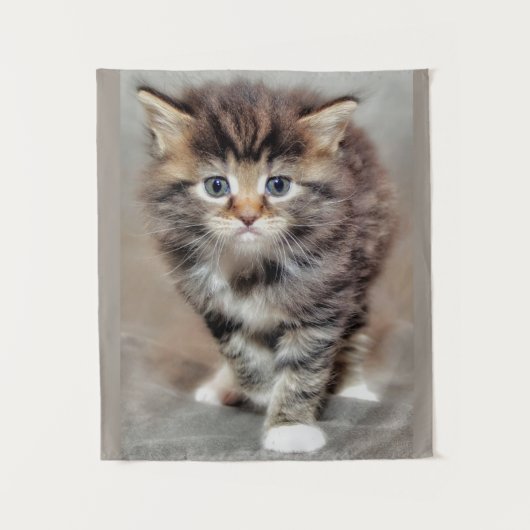 Maincoon ‎ Kitten Wandteppich (Vorderseite)