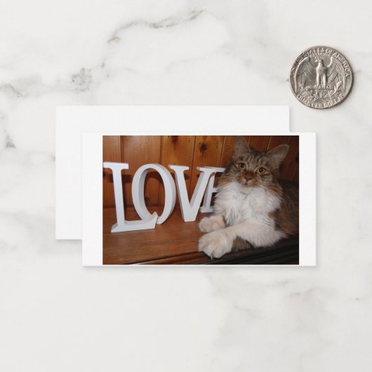 Maincoon Liebe Katze 3.5 x 2 Mitteilungskarte (Vorderseite/Rückseite Beispiel)