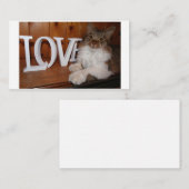 Maincoon Liebe Katze 3.5 x 2 Mitteilungskarte (Vorne/Hinten)