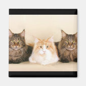 Maincoon Magnet (Vorne)