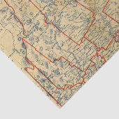 Maine 18 seidenpapier (Ausschnitt)