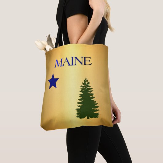 Maine (1901) tasche (Von Nahem)
