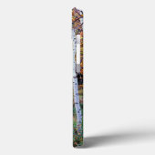 Maine, Acadia Nationalpark, Herbst Case-Mate iPhone Hülle (Rückseite / Links)