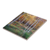 Maine, Acadia Nationalpark, Herbst Fliese (Seite)