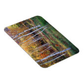 Maine, Acadia Nationalpark, Herbst Magnet (Rechte Seite)