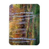 Maine, Acadia Nationalpark, Herbst Magnet (Vertikal)