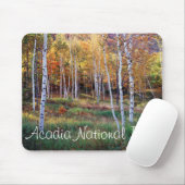 Maine, Acadia Nationalpark, Herbst Mousepad (Mit Mouse)