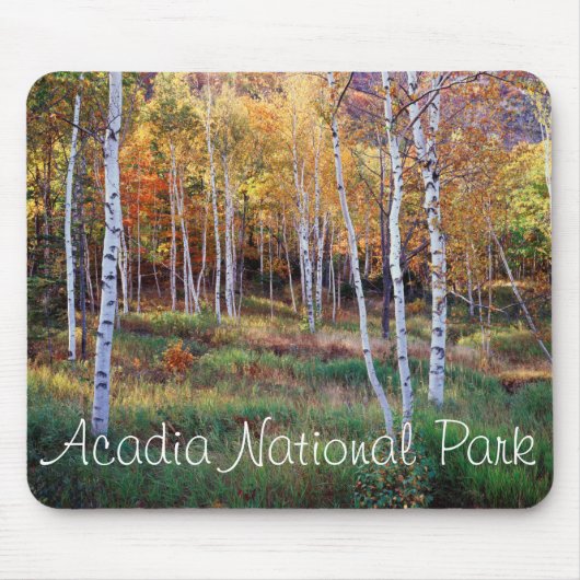 Maine, Acadia Nationalpark, Herbst Mousepad (Vorne)