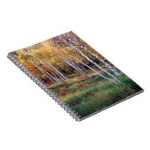 Maine, Acadia Nationalpark, Herbst Notizblock (Rechte Seite)