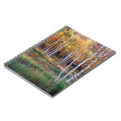 Maine, Acadia Nationalpark, Herbst Notizblock (Linke Seite)