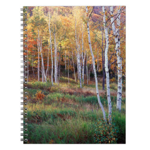 Maine, Acadia-Nationalpark, Herbst Notizblock