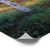 Maine, Acadia Nationalpark, Herbst Poster (Ecke)