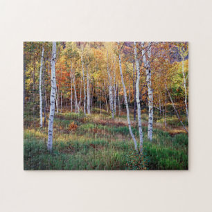 Maine, Acadia Nationalpark, Herbst Puzzle
