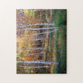 Maine, Acadia Nationalpark, Herbst Puzzle (Vertikal)
