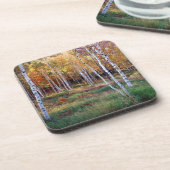 Maine, Acadia Nationalpark, Herbst Untersetzer (Linke Seite)