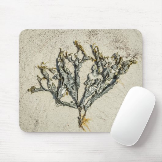 Maine-Algen am Sandstrand Mousepad (Mit Mouse)
