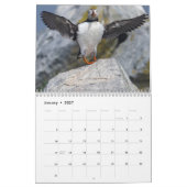 Maine-Atlantik-Puffins: Richtung 2026 gleiten Kalender (Jan 2027)