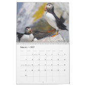 Maine-Atlantik-Puffins: Richtung 2026 gleiten Kalender (Feb 2027)