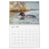 Maine Attractions 2026-2027 Calendar Kalender (Mär 2026)
