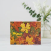 Maine Autumn Leaves Postcard Postkarte (Stehend Vorderseite)