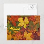 Maine Autumn Leaves Postcard Postkarte (Vorne/Hinten)