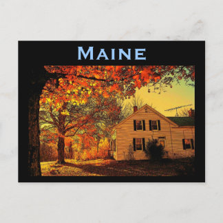 Maine Autumn Postcard Postkarte