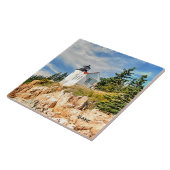 MAINE, BASS-HAFEN FLIESE (Seite)