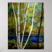 Maine Birch Stream Poster (Vorne)