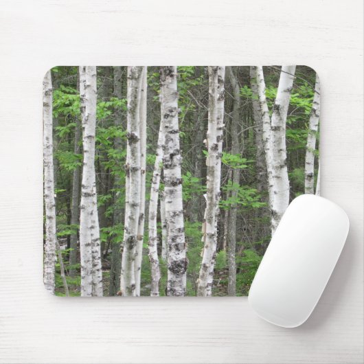 Maine-Birken-Waldung Mousepad (Mit Mouse)