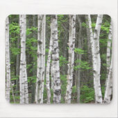 Maine-Birken-Waldung Mousepad (Vorne)