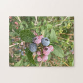 Maine-Blaubeeren Puzzle (Horizontal)