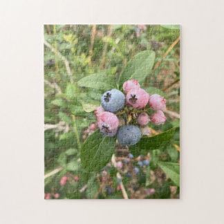 Maine-Blaubeeren Puzzle
