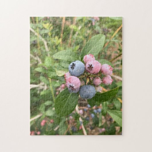 Maine-Blaubeeren Puzzle (Vertikal)