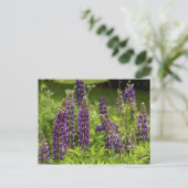 Maine Blume Postkarte (Stehend Vorderseite)