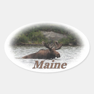 Maine Bull Moose Ovaler Aufkleber