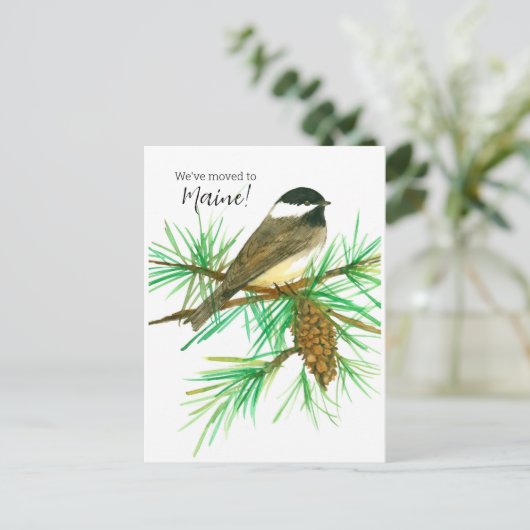 Maine Chickadee Pinecone Postkarte (Stehend Vorderseite)