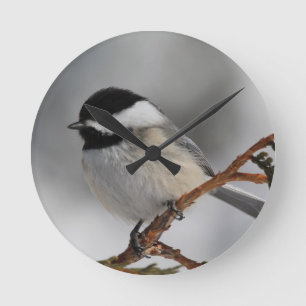 Maine Chickadee Runde Wanduhr