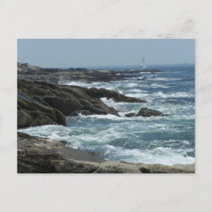 Maine Coast Postkarte
