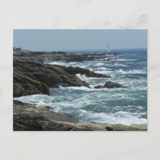 Maine Coast Postkarte (Vorderseite)