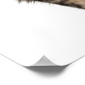 Maine Coon (8 Monate alt) 2 Poster (Ecke)