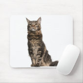 Maine Coon (8 Monate alt) Mousepad (Mit Mouse)