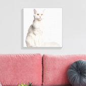 Maine Coon (8 Monate alt) Sitzung Leinwanddruck (Insitu (Wohnzimmer))