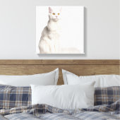 Maine Coon (8 Monate alt) Sitzung Leinwanddruck (Insitu (Schlafzimmer))