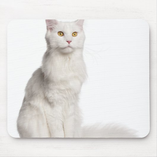 Maine Coon (8 Monate alt) Sitzung Mousepad (Vorne)