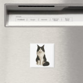 Maine Coon black and white Magnet (In Situ (Geschirrspüler))